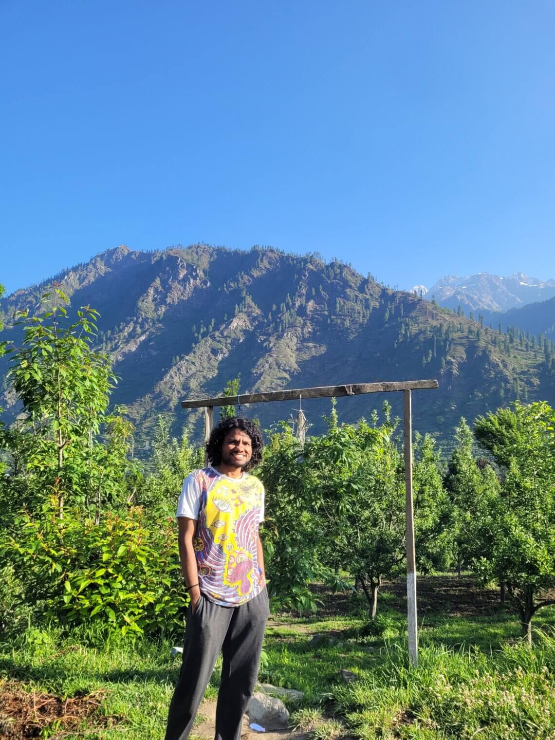 Person standing in a green orchard with tall mountains and a clear blue sky in the background.